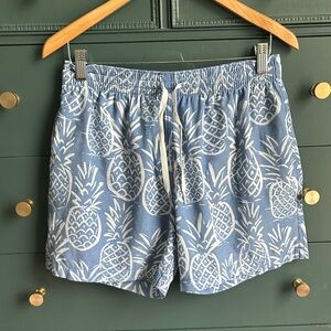 Blue Pineapple Chubbies Shorts